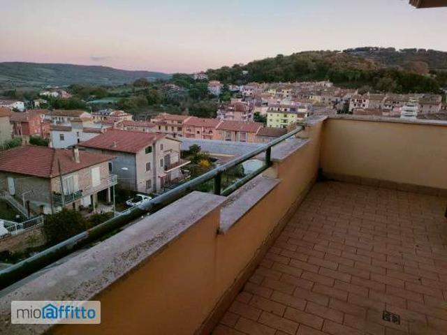 Appartamento in affitto a Monte Romano, Lazio