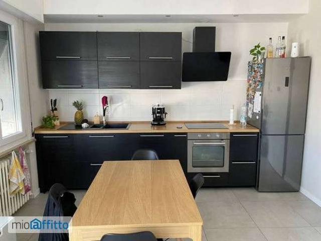 Appartamento in affitto a San Pellegrino, Sorbolo