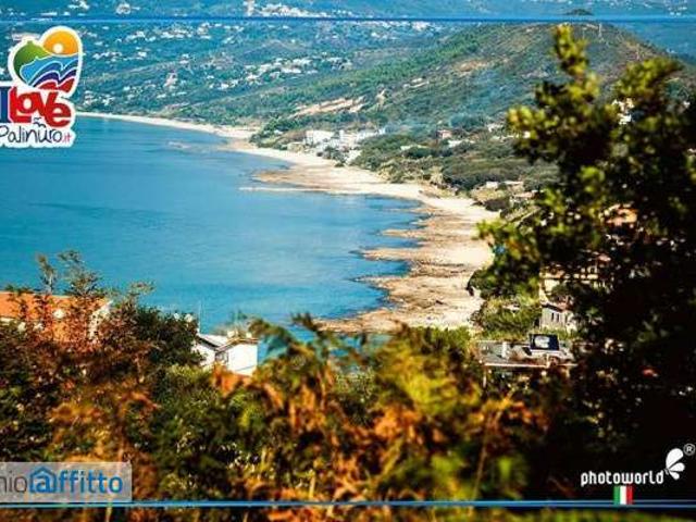 Appartamento in affitto a Centola, Campania