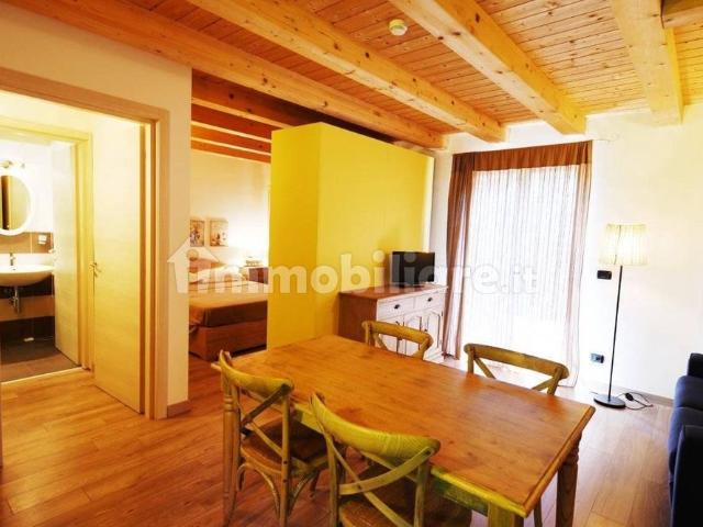 Appartamento in affitto a Fantino, Piemonte