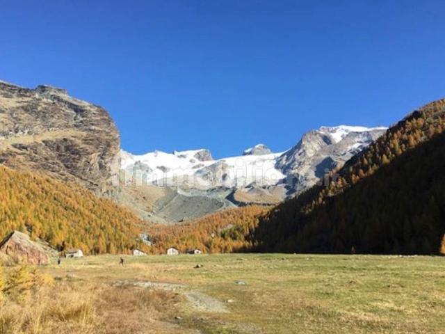 Appartamento in affitto a Ayas, Aosta