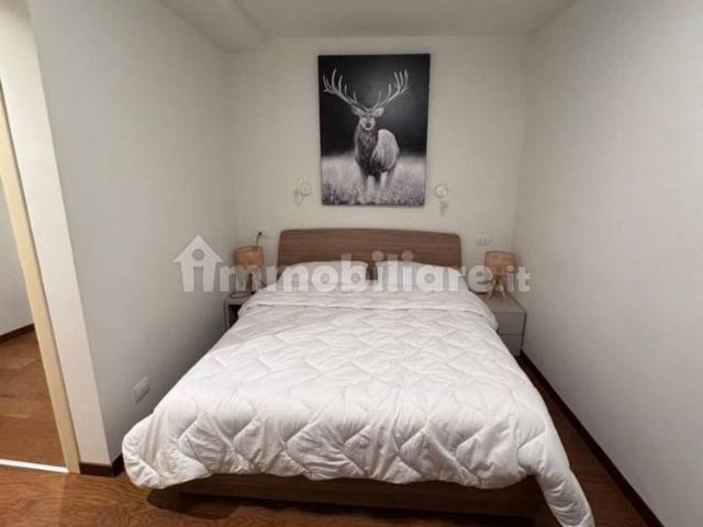Appartamento in affitto a Ayas, Aosta