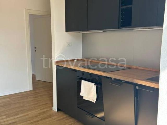 Appartamento in affitto a San Donato-San Vitale, Bologna