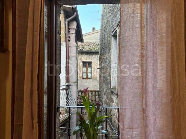 Appartamento in affitto a Unione di Comuni Montani Colline del Fiora, Pitigliano