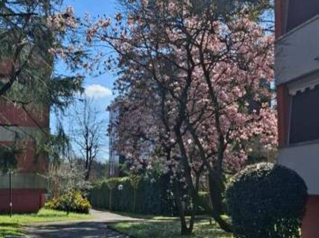 Appartamento in affitto a Monticello, San Donato Milanese