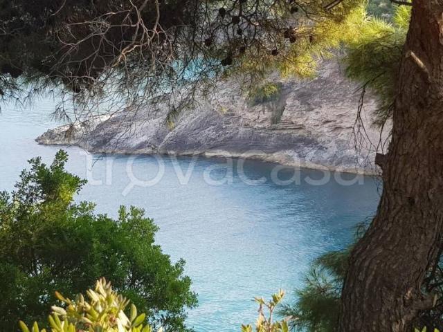 Appartamento in vendita a Puglia, Foggia
