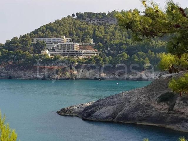 Appartamento in vendita a Puglia, Foggia
