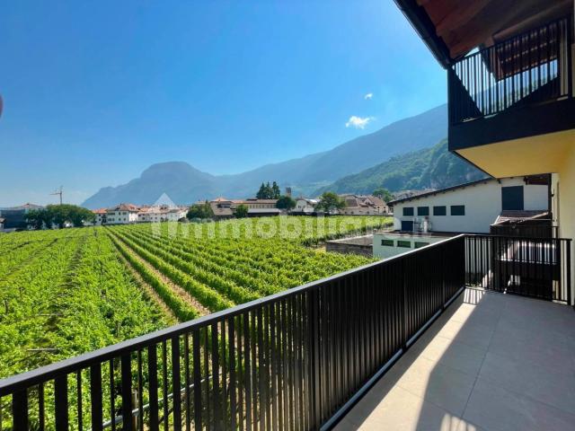 Appartamento in affitto a Überetsch-Unterland - Oltradige-Bassa Atesina, Trentino-Alto Adige/Südtirol