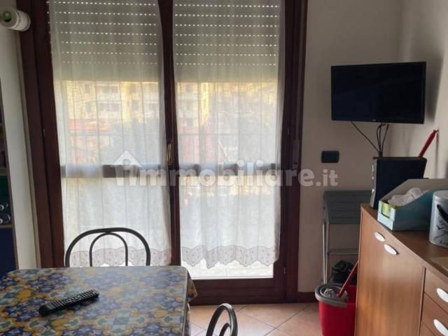 Appartamento in affitto a Viadana, Lombardia