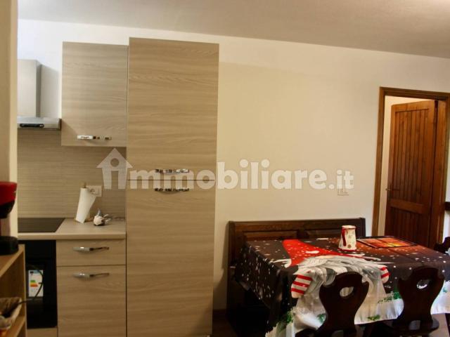 Appartamento in affitto a Comunità Alta Valsugana e Bersntol, Levico Terme