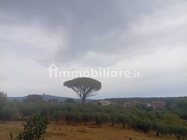 Appartamento in affitto a Pietrara, Vetralla