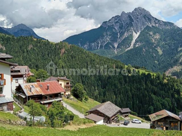 Appartamento in affitto a San Pietro Di Cadore, Veneto