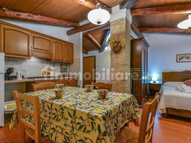 Appartamento in affitto a Unione dei Comuni Montani Amiata Grossetana, Castel Del Piano