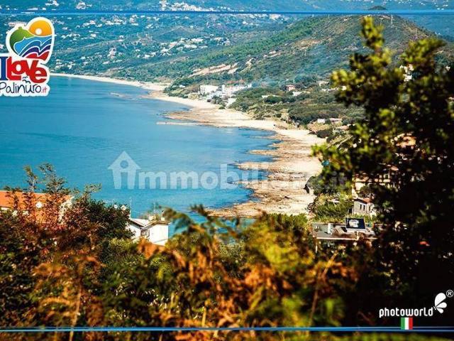 Appartamento in affitto a Centola, Campania