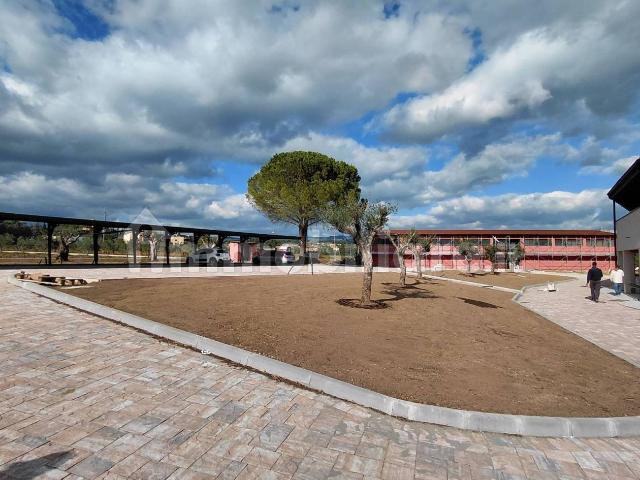 Appartamento in affitto a Cenerente, Umbria