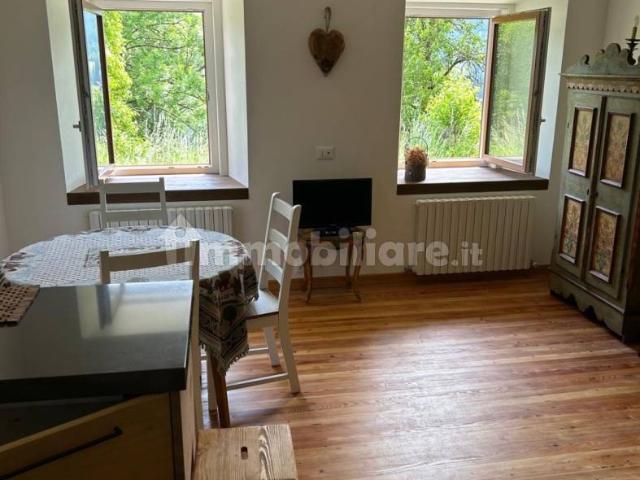 Appartamento in affitto a San Vito Di Cadore, Veneto