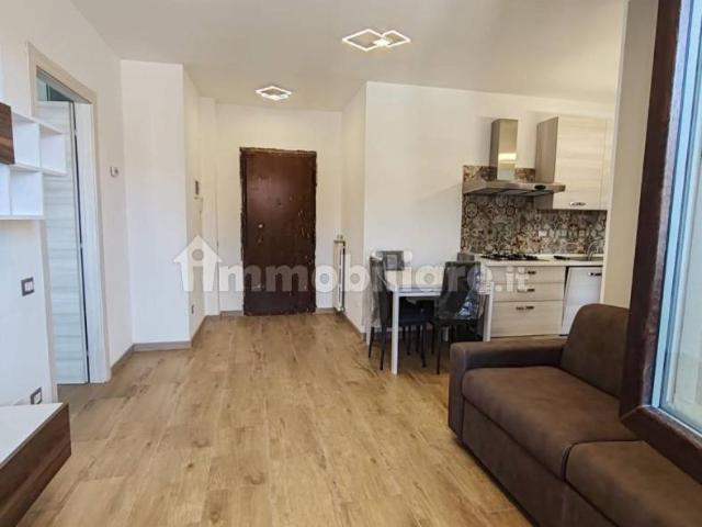 Appartamento in affitto a Mezzate, Peschiera Borromeo