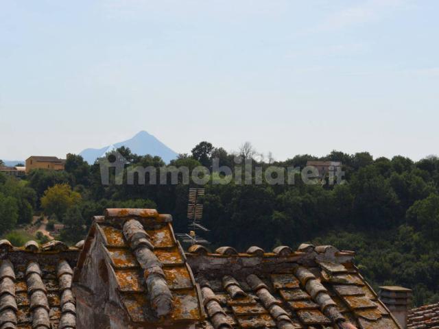 Appartamento in affitto a Gallese, Lazio