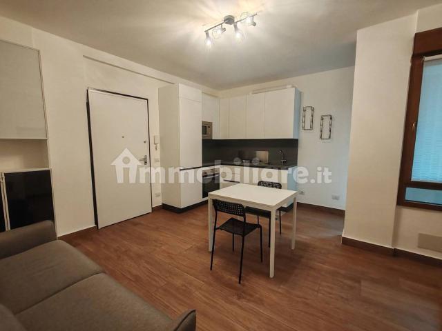 Appartamento in affitto a Sud, Brenzone