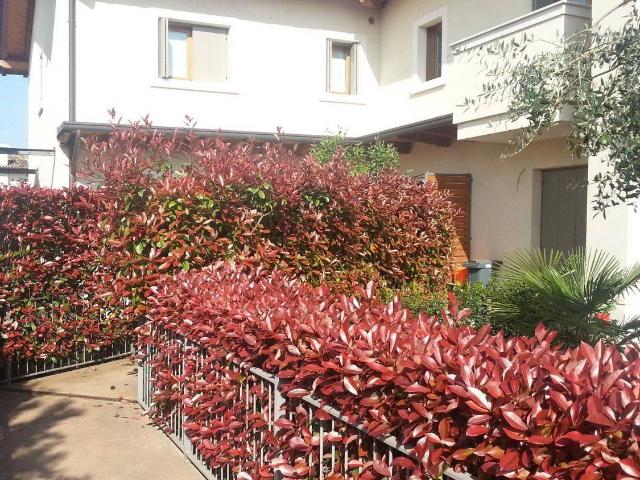 Appartamento in affitto a Caneva, Friuli-Venezia Giulia
