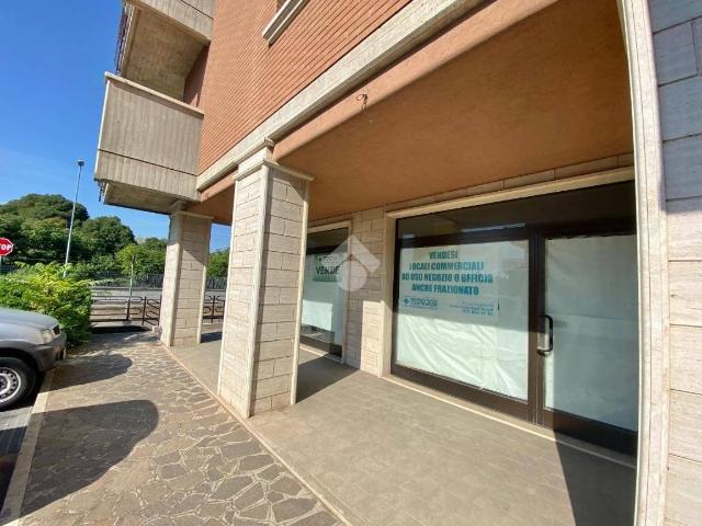Appartamento in affitto a Assisi, Umbria