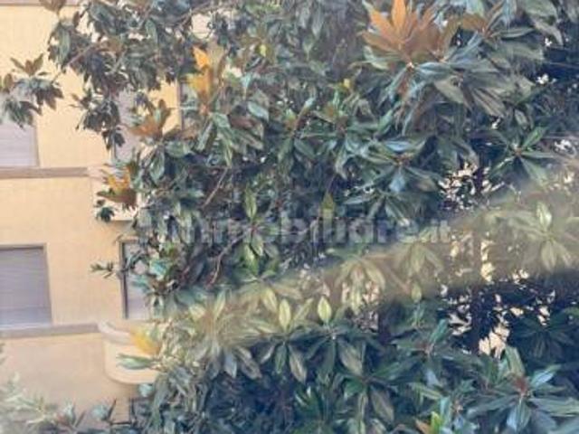 Appartamento in affitto a Ponte Nuovo di Magenta, Magenta