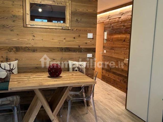 Appartamento in affitto a Pinzolo, Provincia di Trento