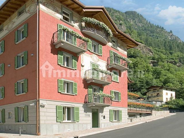 Appartamento in affitto a Comunità Montana della Valle Brembana, Branzi