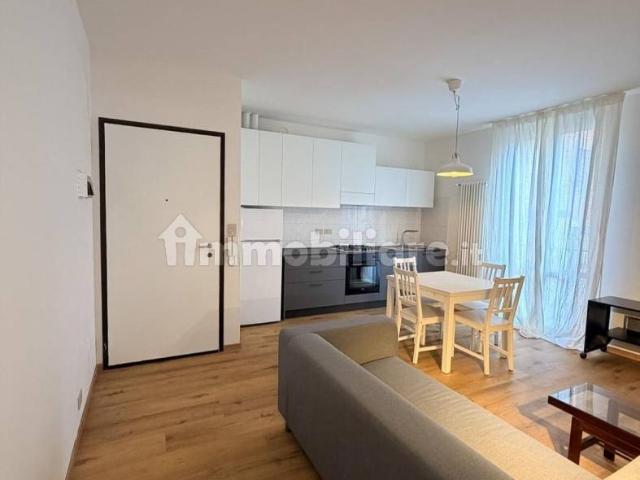 Appartamento in affitto a Porto-Saragozza, Bologna