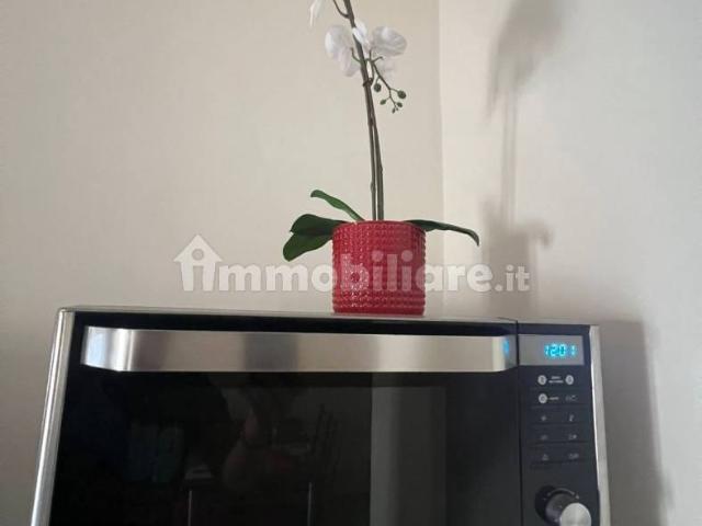 Appartamento in affitto a Municipio 1, Puglia