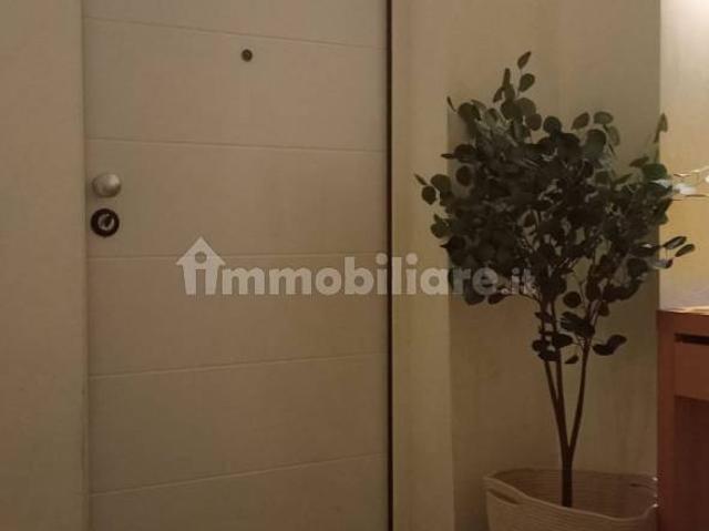 Appartamento in affitto a Pianura Reggiana, Re