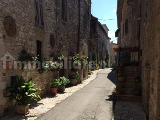 Appartamento in affitto a Assisi, Umbria