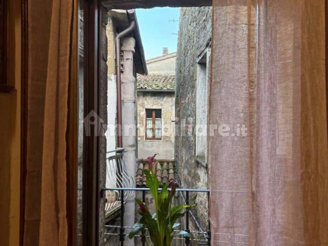 Appartamento in affitto a Unione di Comuni Montani Colline del Fiora, Pitigliano