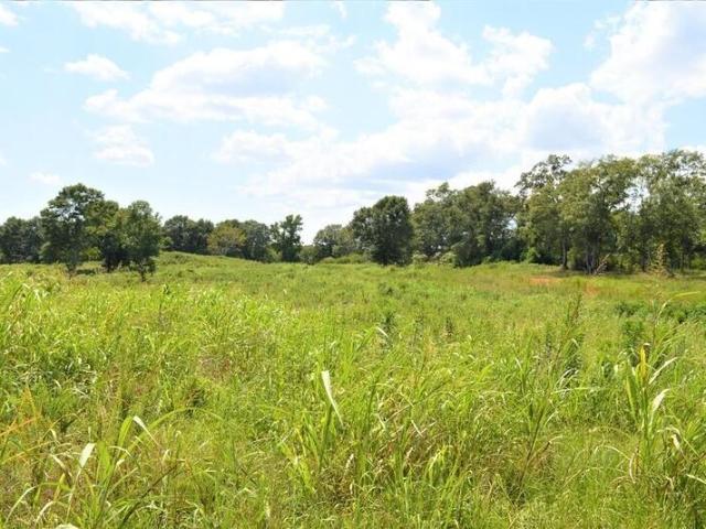 Land for sale in Mccomb