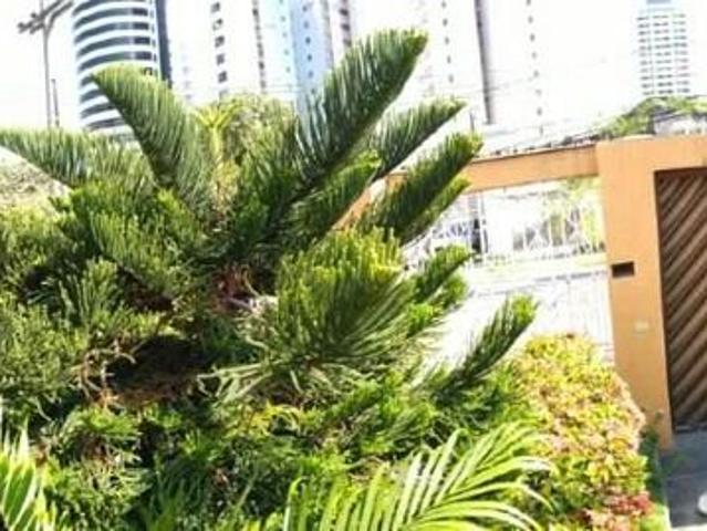 Casa aluguel em Recife