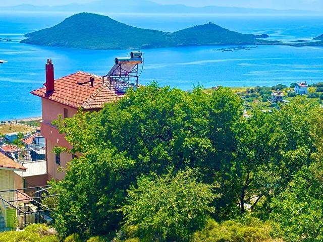 İzmir Merkez içerisinde satılık Tarla İzmir Merkez içerisinde satılık Tarla