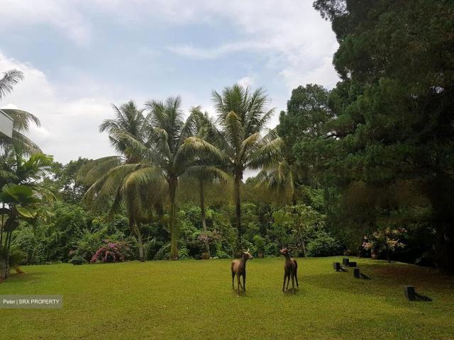Farm for sale in Bukit Timah