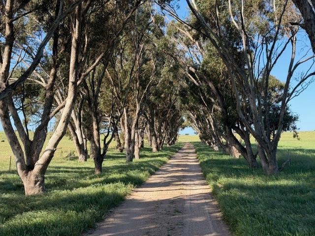 Cottage for sale in Irwin, Western Australia