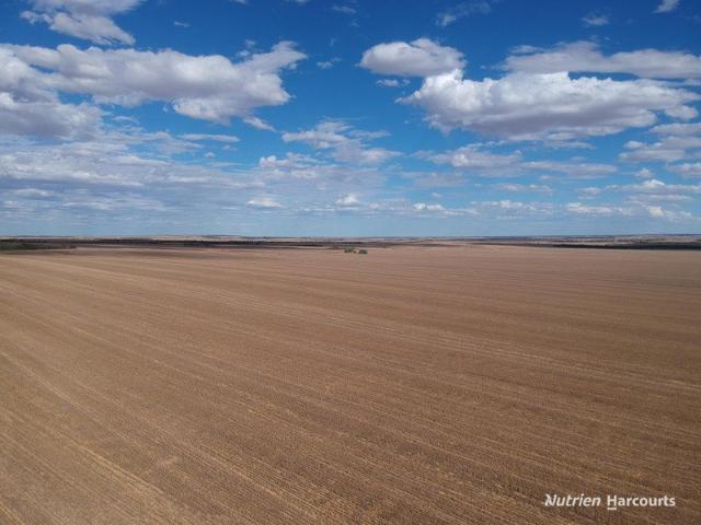 Property for sale in Tenindewa, Western Australia