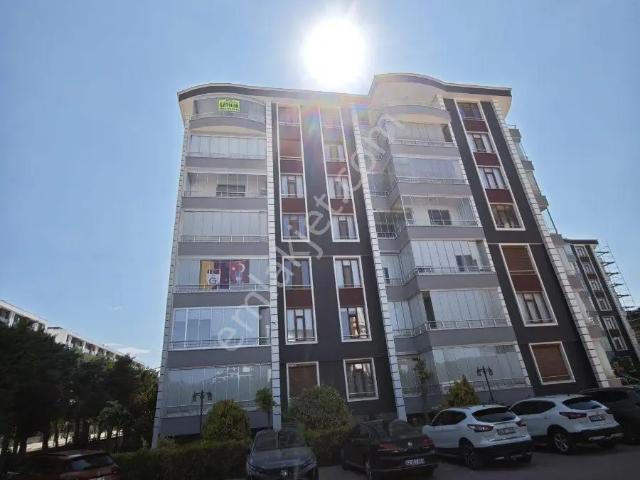Selçuklu, Konya içerisinde kiralık mülk