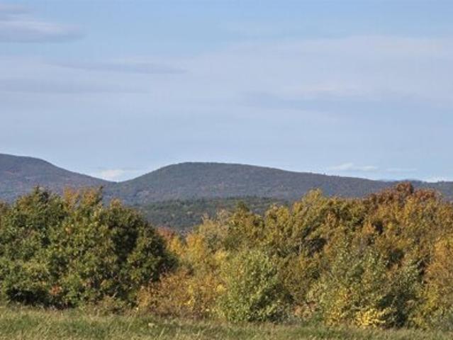 Land for sale in Gilmanton, Belknap County
