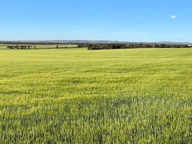 Cottage for sale in Biniguy, Moree Plains Shire Council