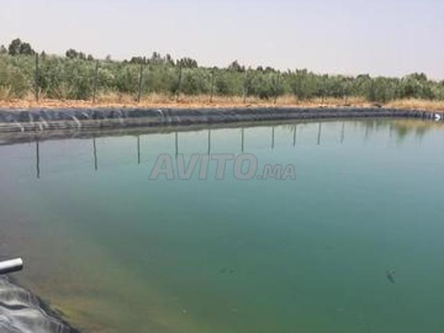 Propriété vente à L'Oriental