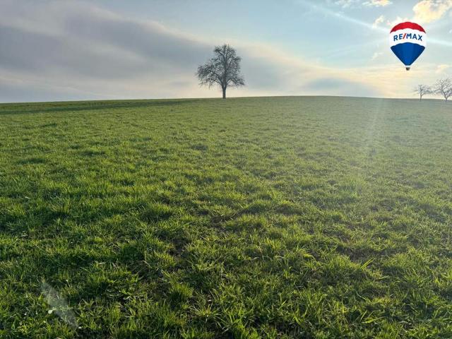 Grundstück kaufen in Eferding, Oberösterreich
