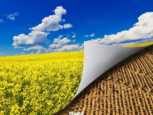 Landwirtschaft kaufen in Himberg, Niederösterreich