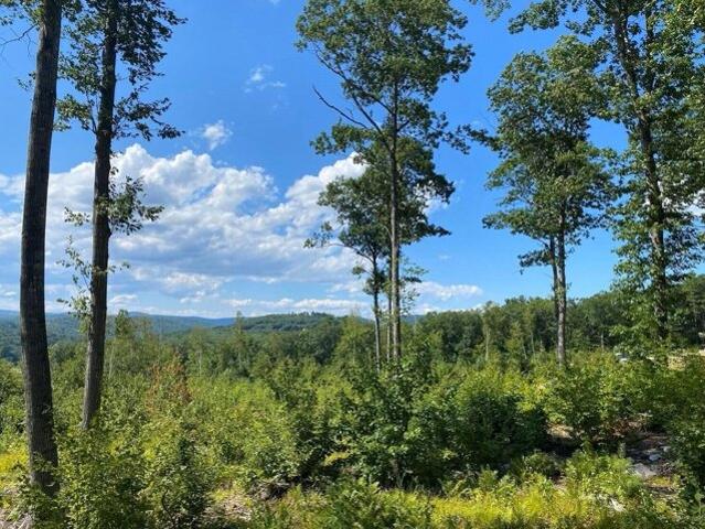 Land for sale in Harrison, Maine