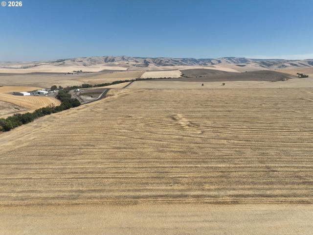 Land for sale in Milton-Freewater, Umatilla County