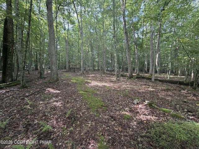 Land for sale in Buck Hill Falls, Pennsylvania