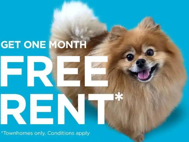 Apartment for rent in Fort Saskatchewan, Alberta