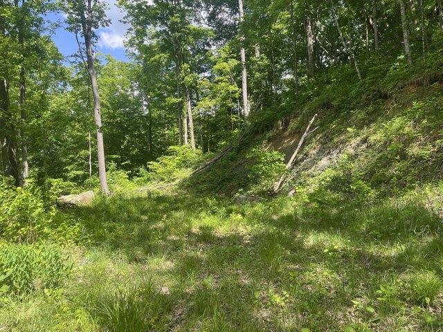 Land for sale in Powell, Kentucky